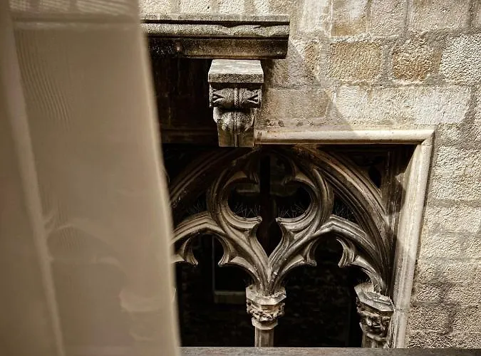 Borna And Franko Centre